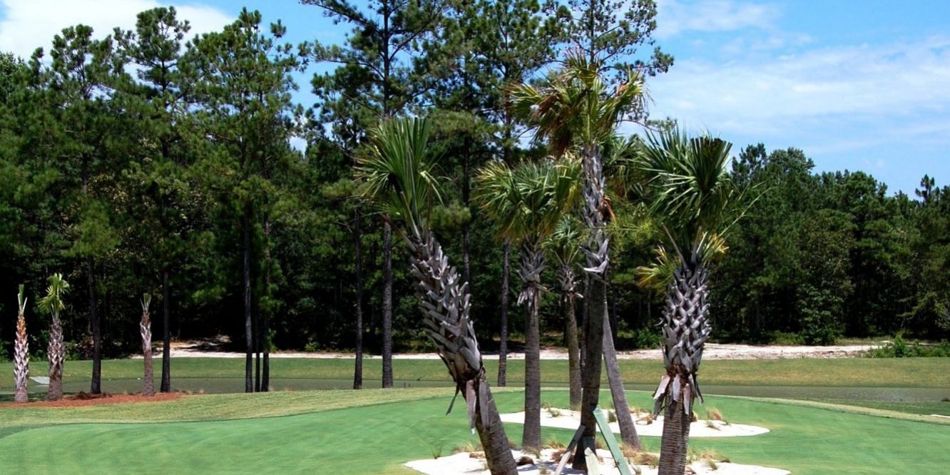 Compass Pointe1