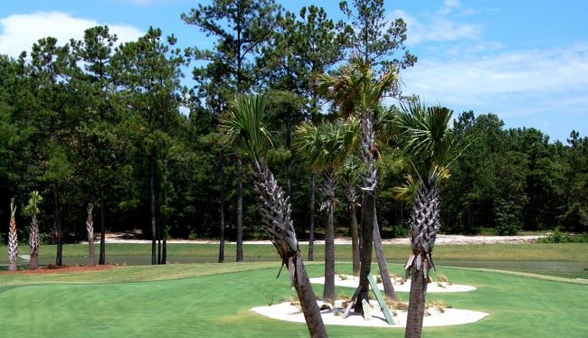 Compass Pointe1