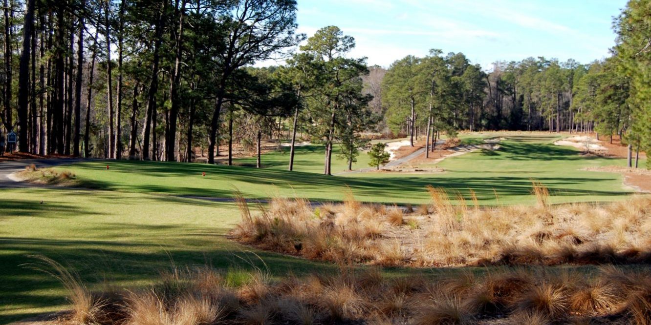 Ross-Mid Pines (002)