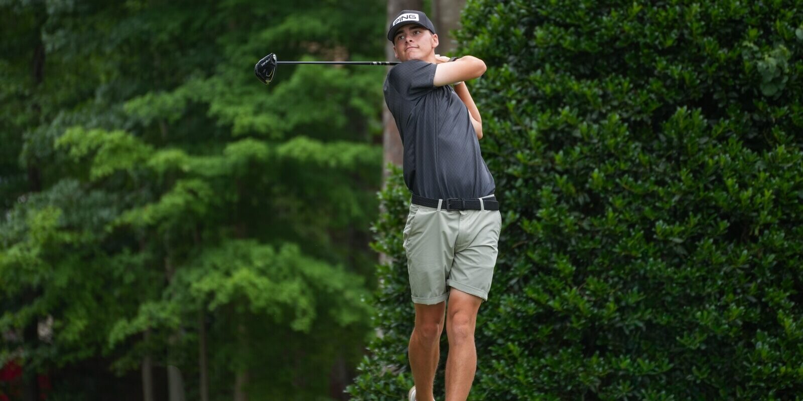 ormond ajga